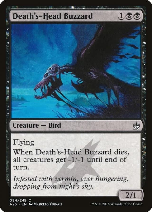 Death's-Head Buzzard image