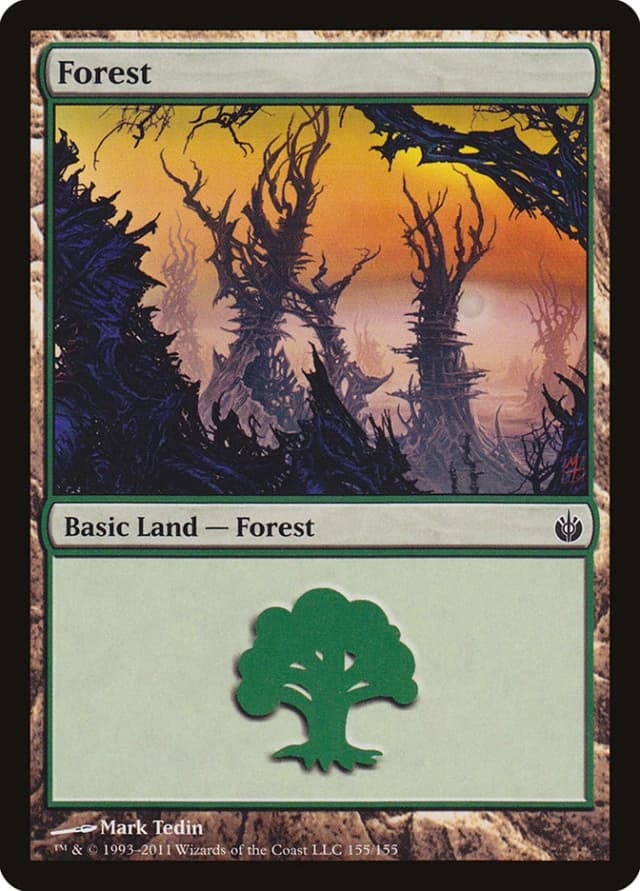 Forest image