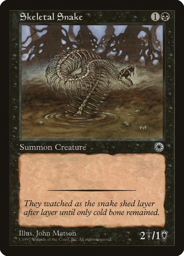 Skeletal Snake image