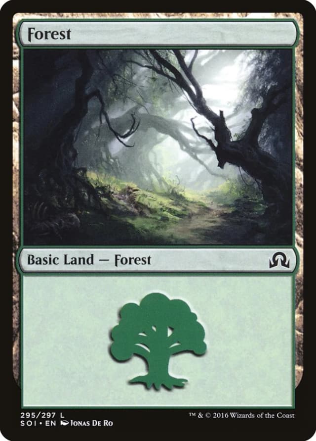 Forest image