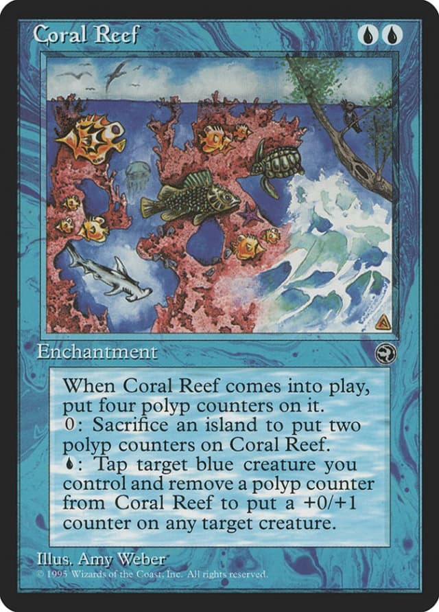 Coral Reef image