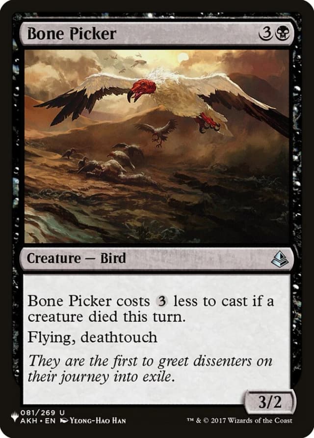 Bone Picker image
