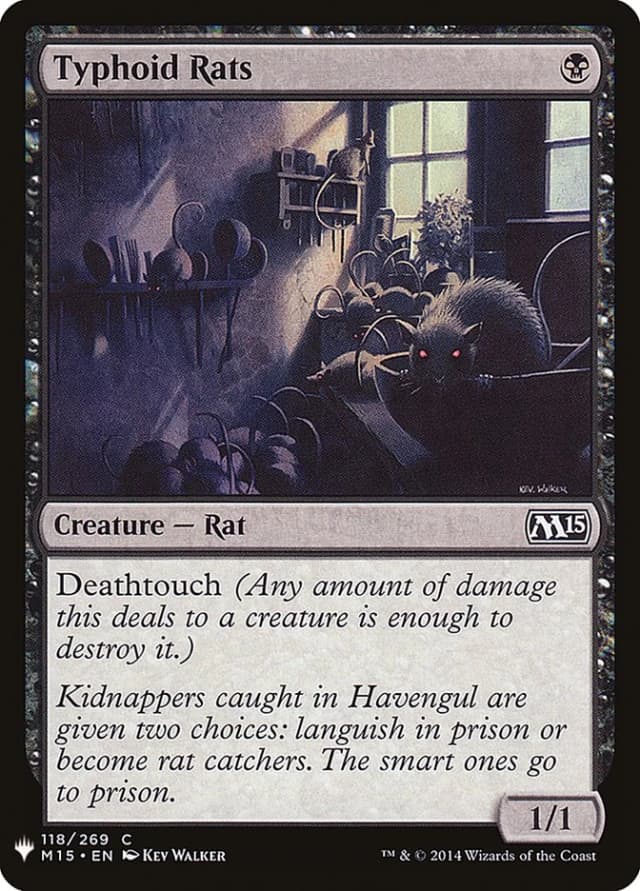 Typhoid Rats image
