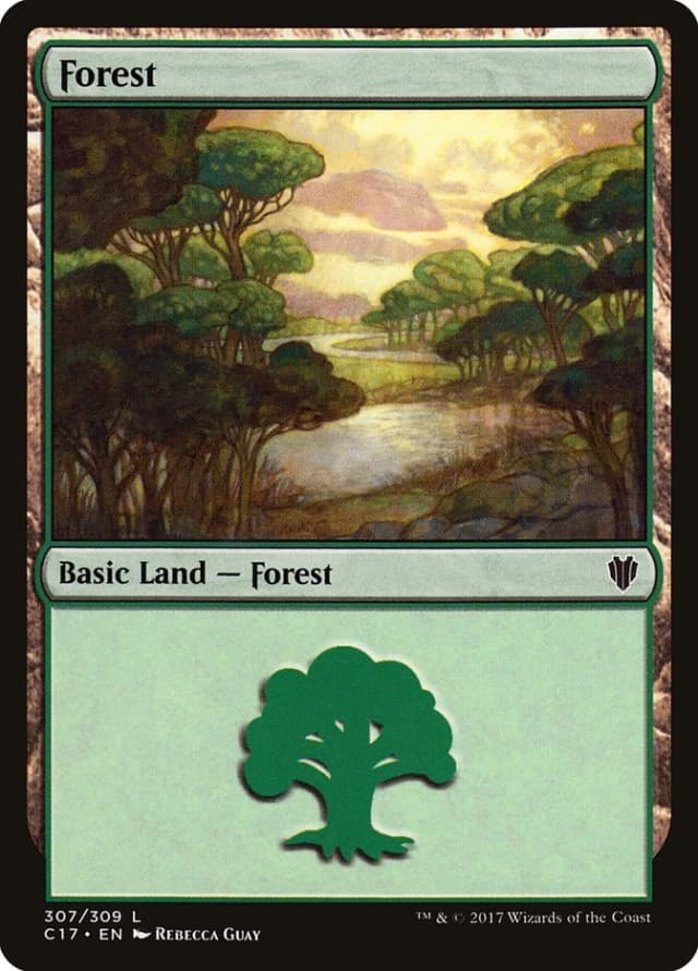 Forest image