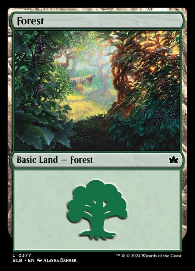 Forest image