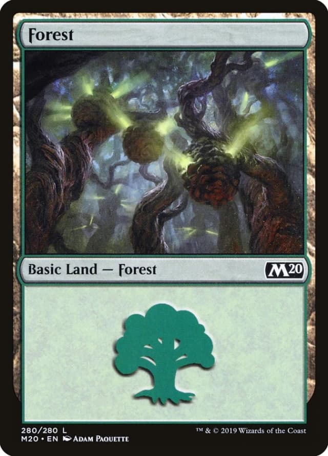 Forest image