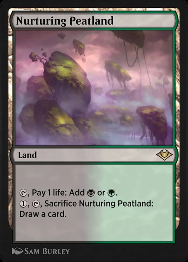 Nurturing Peatland image
