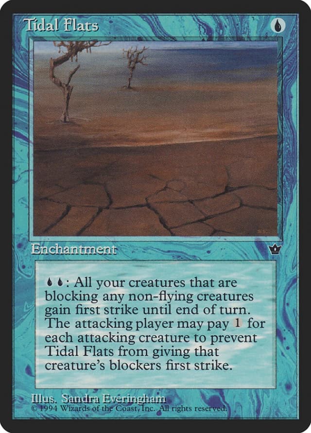 Tidal Flats image
