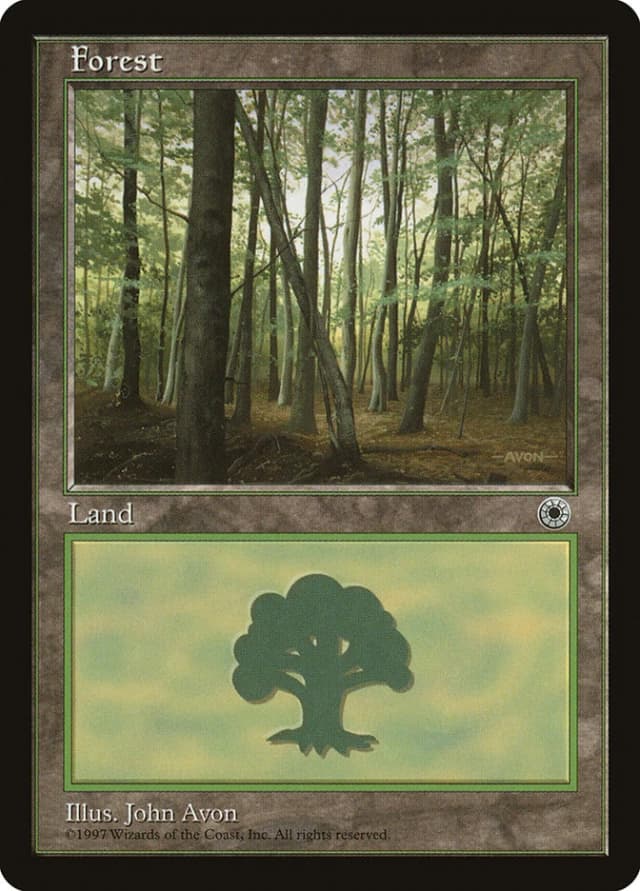 Forest image