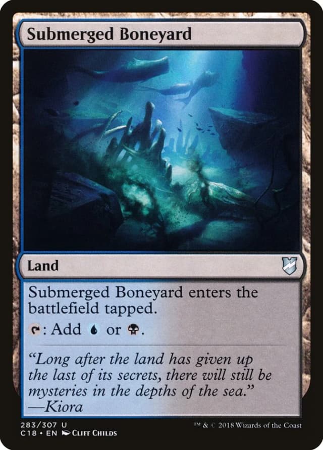 Submerged Boneyard image