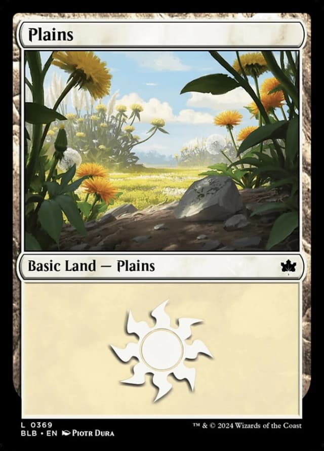 Plains image