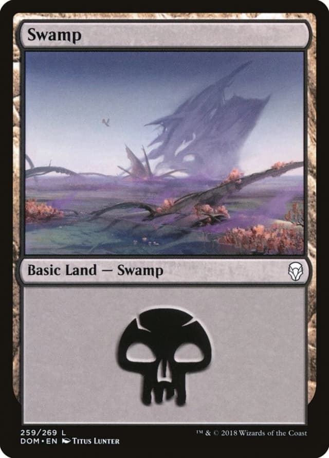 Swamp image