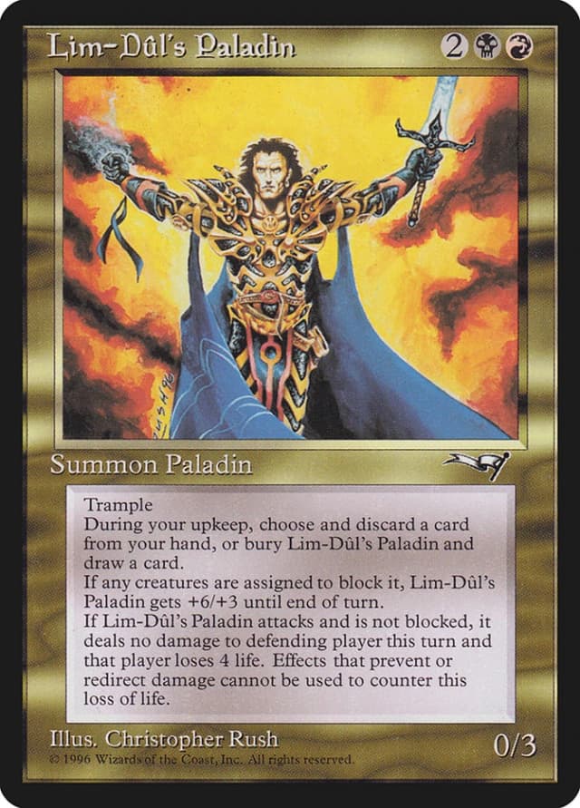Lim-Dûl's Paladin image
