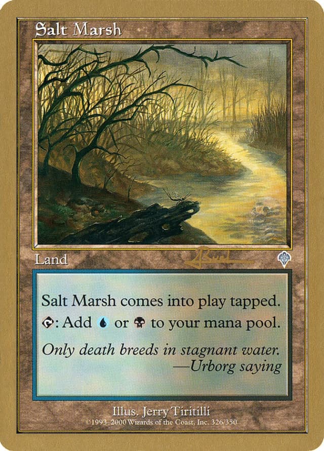 Salt Marsh image