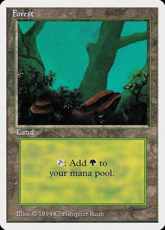 Forest image