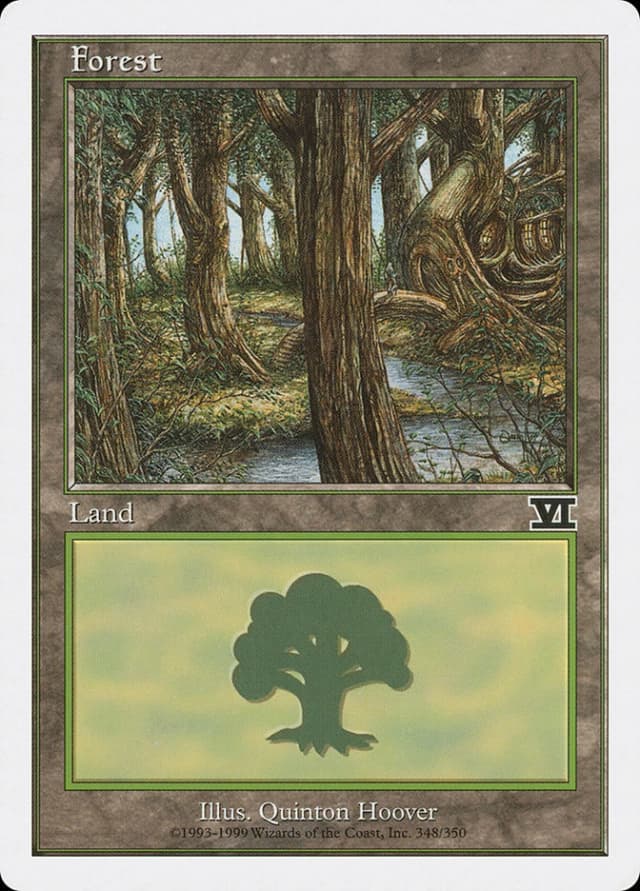 Forest image