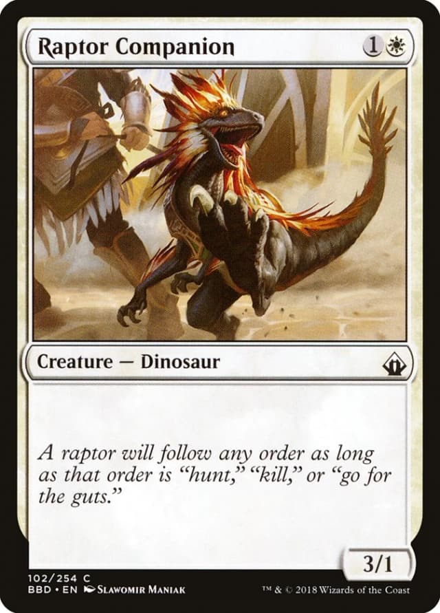 Raptor Companion image