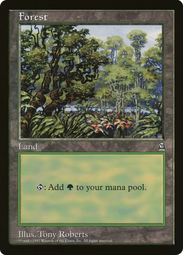 Forest image