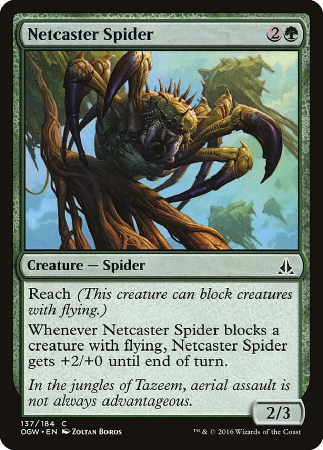 Netcaster Spider image