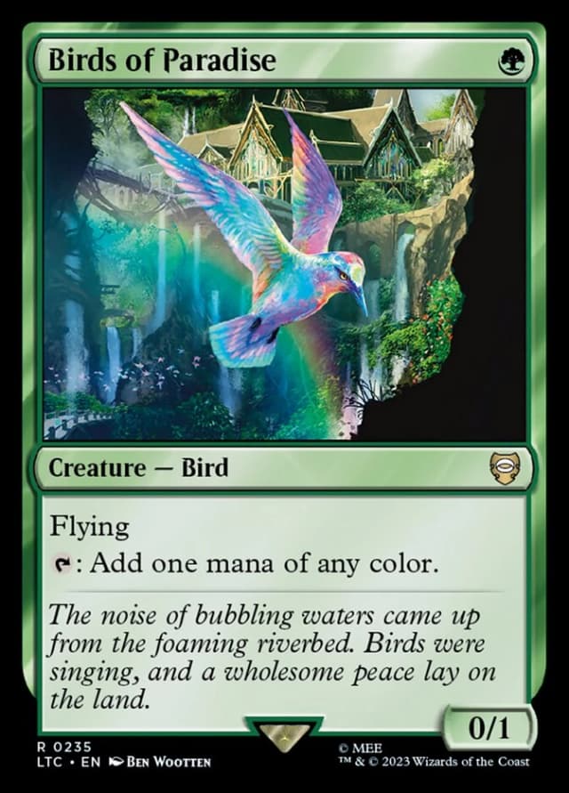 Birds of Paradise image