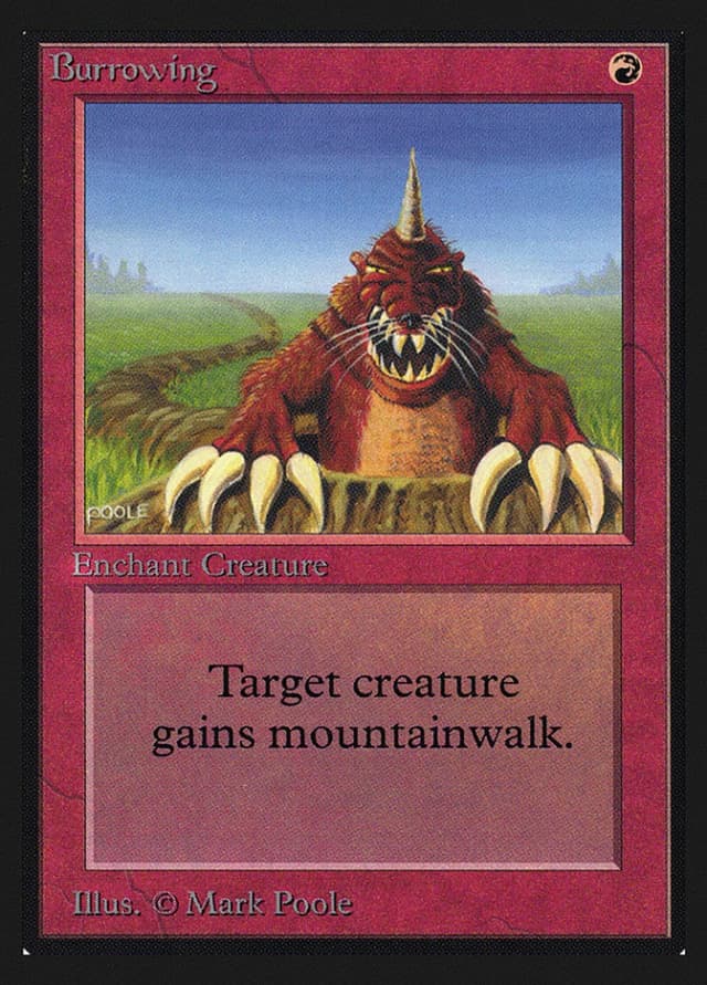 Burrowing image