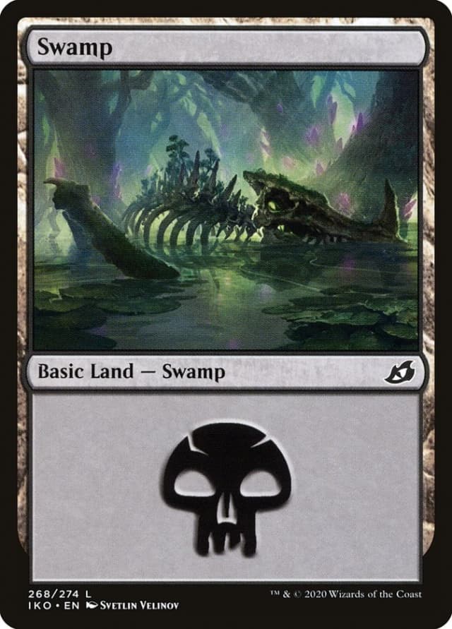 Swamp image
