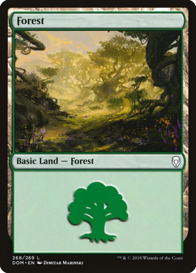Forest image