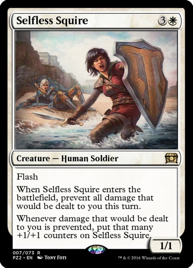 Selfless Squire image