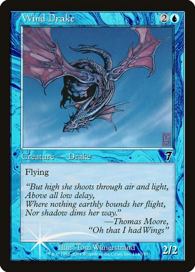 Wind Drake image