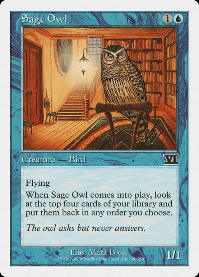 Sage Owl image