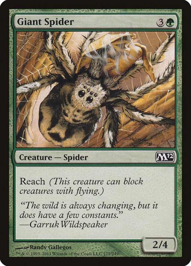 Giant Spider image
