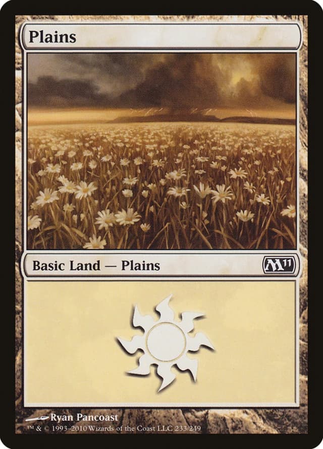 Plains image