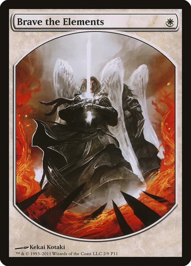 Brave the Elements image