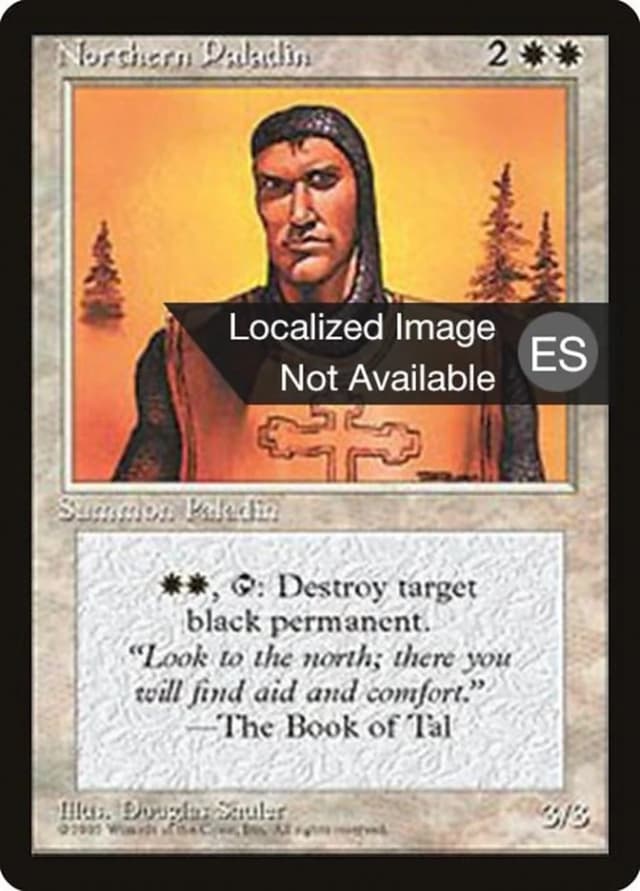 Northern Paladin image
