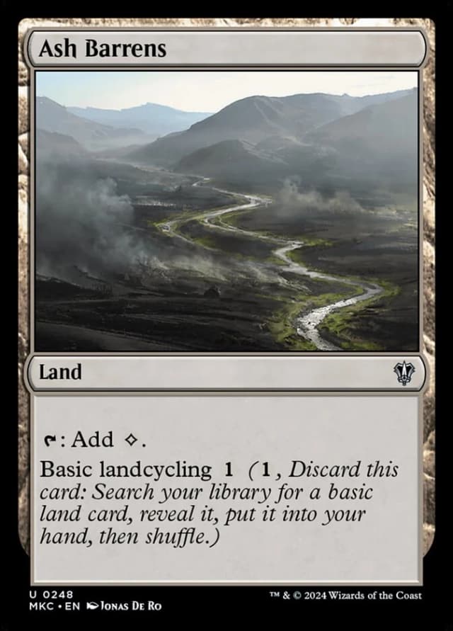 Ash Barrens image