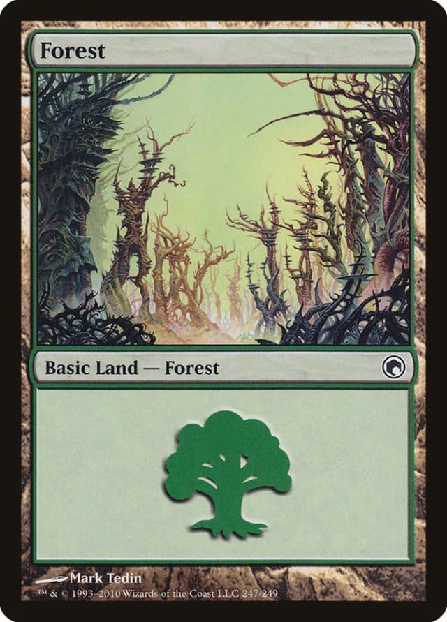 Forest image