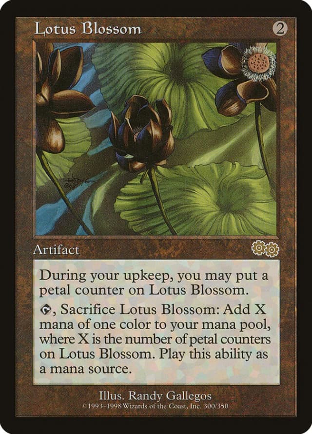 Lotus Blossom image
