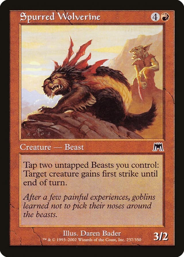 Spurred Wolverine image