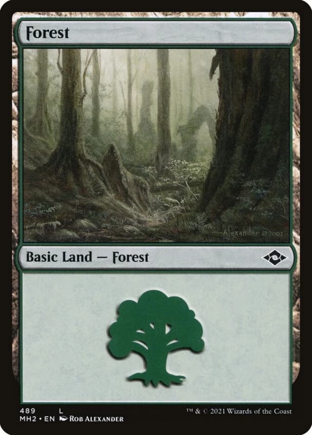 Forest image