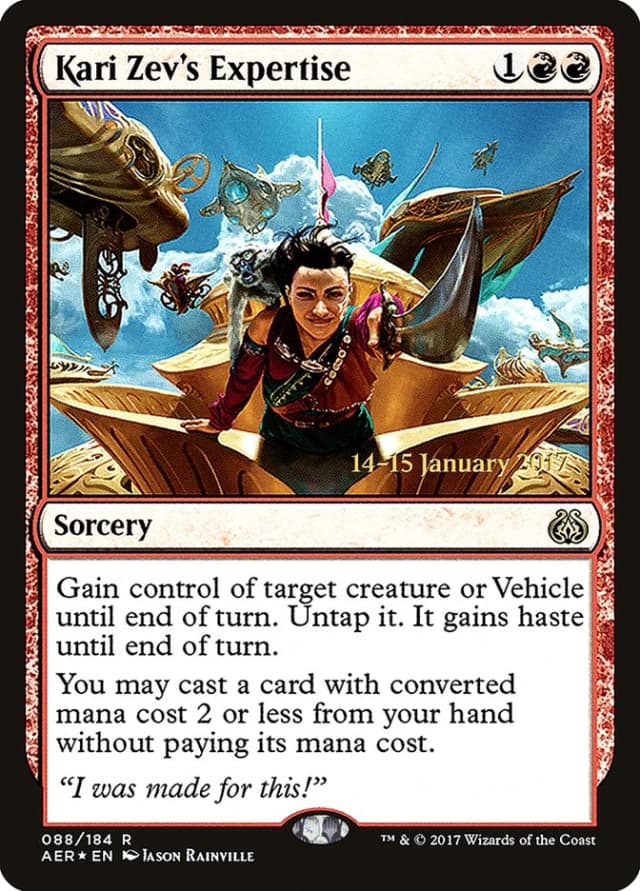 Kari Zev's Expertise image