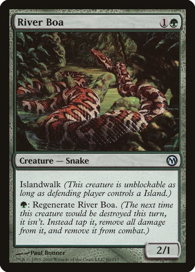 River Boa image