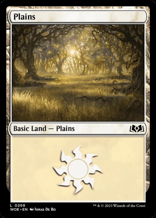 Plains image