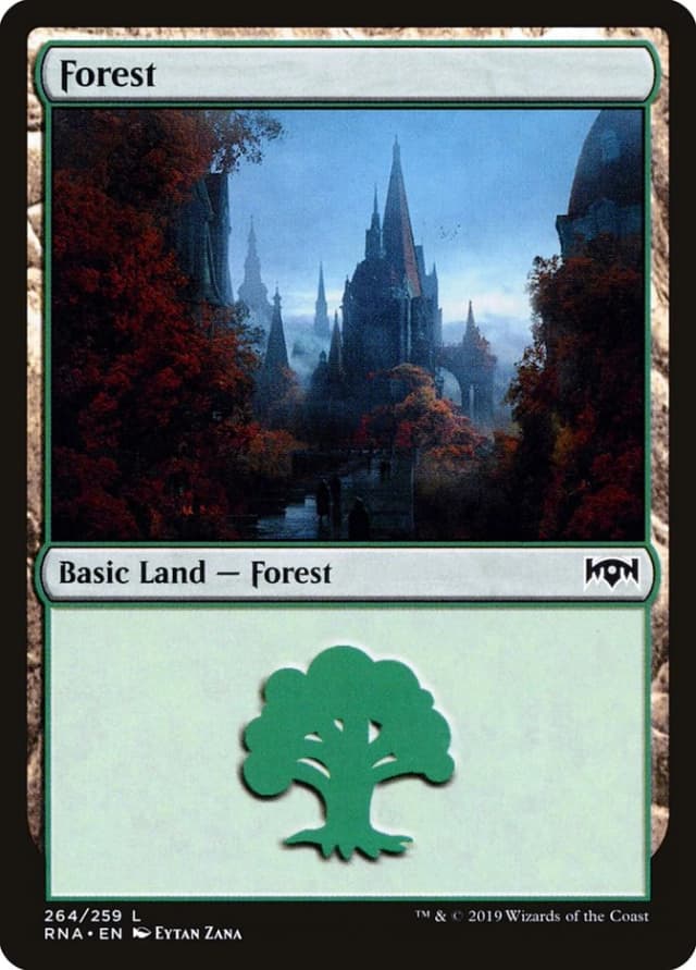 Forest image