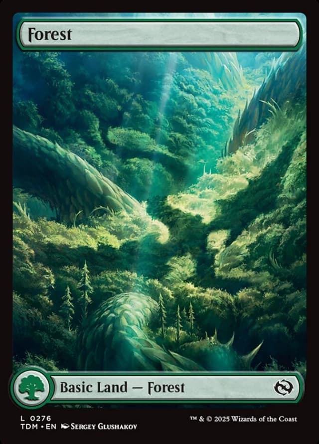 Forest image