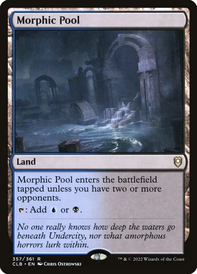 Morphic Pool image