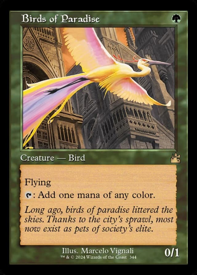 Birds of Paradise image