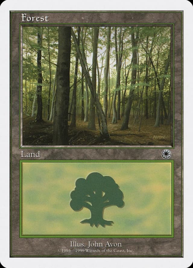 Forest image