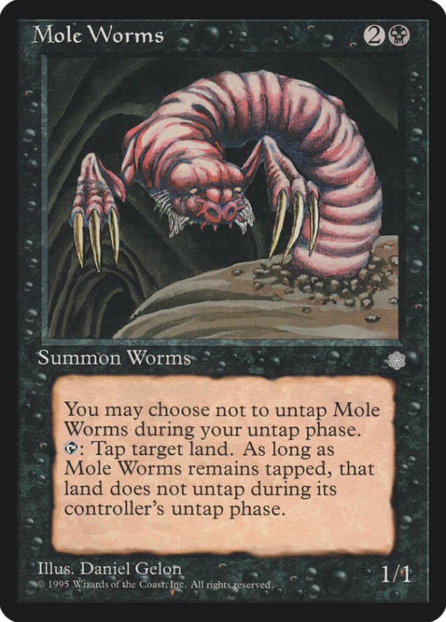 Mole Worms image
