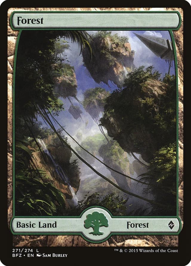 Forest image
