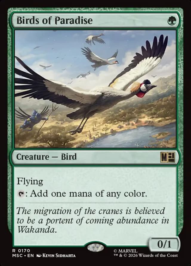 Birds of Paradise image